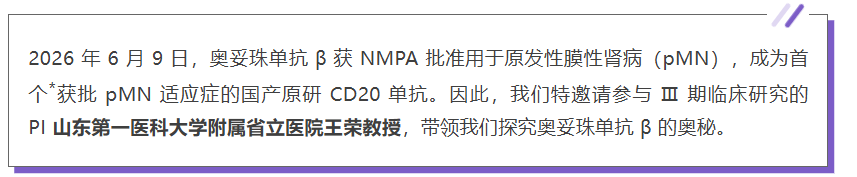 1783583328690195.png c99dcb6b-897c-47c4-bb57-3022a1ed9ea8.png